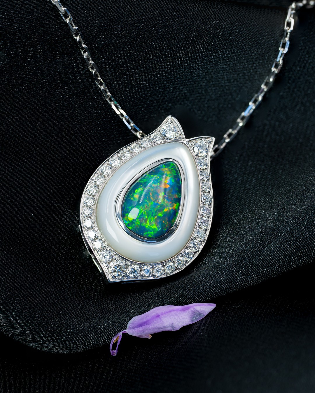 Midnight Glow Black Opal Tulip - Image 2